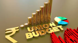 Why the Union Budget No Longer Excites — and What That Says About India’s Investment Malaise