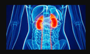 ओडिशा बनेगा भारत का पहला राज्य जो शुरू करेगा पूर्ण क्रॉनिक किडनी रोग (CKD) रजिस्ट्ररी