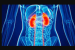Odisha to Launch India’s First Chronic Kidney Disease Registry