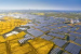 If Biofuel Land Became Solar Farms, Could It Power the World’s Electric Vehicles?