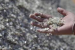 Why India Must Act Fast to Control the Midstream of Critical Minerals