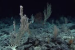 India’s Next Biotech Frontier: Why the Deep Ocean and Outer Space Matter