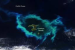 Phytoplankton Bloom Encircles New Zealand’s Chatham Islands
