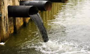 NGT Seeks Action Plan to Stop Sewage Flow into Sauparnika River