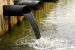 NGT Seeks Action Plan to Stop Sewage Flow into Sauparnika River