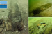 Ancient Boats Discovery In US Lake Rewrites Early Civilisation Timeline