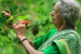 92-Year-Old Kollakkayil Devaki Amma, the Green Activist Awarded Padma Shri