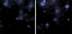 Webb Telescope Delivers Sharpest Dark Matter Map Yet
