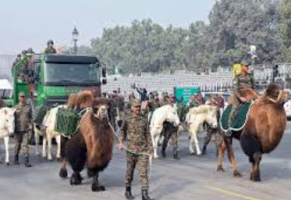 Bactrian Camels Make Historic Republic Day Parade Debut