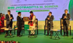 Union Minister Launches ₹82.5-Crore Bamboo Projects in Northeast