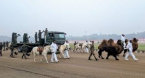 Remount And Veterinary Corps Makes Historic Republic Day Debut