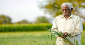 Madhya Pradesh Declares 2026 as Year of Agriculture