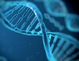 Google DeepMind Unveils AlphaGenome AI Tool for DNA Mutations