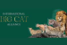 India to Host First Global Big Cats Summit