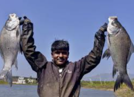 Budget 2026 Pushes Veterinary Training and Fisheries Development