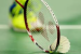 Badminton Asia Team Championships Begin in Qingdao