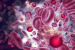 Cancer Cells Reprogramme Immune Cells to Aid Tumour Growth