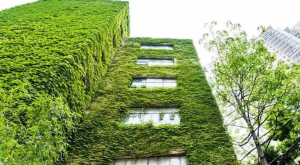 India Ranks Second Globally in LEED-Certified Green Realty