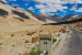 India Explores New Kailash Yatra Route via Shipki La