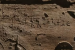 Tamil-Brahmi Inscriptions Found In Egypt’s Valley Of The Kings