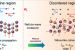 JNCASR Discovers Wave-Like Heat Transport in Tl₂AgI₃