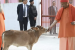 India’s First National Cow Culture Museum In Mathura