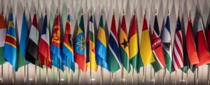 African Union Summit Faces Youth Legitimacy Crisis