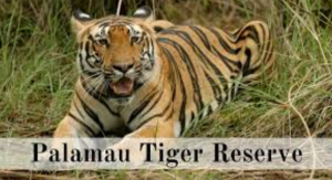 Palamu Tiger Reserve Launches ‘Vanjeevi Didi’ Initiative