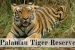Palamu Tiger Reserve Launches ‘Vanjeevi Didi’ Initiative