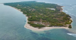 Vaan Island Restoration Yields ₹61.67 Crore Benefits
