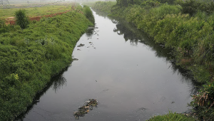 NGT Orders Restoration of Suav River Status