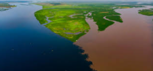 Congo Lakes Release Ancient Carbon from Peatlands