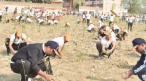 Varanasi Sets Guinness Record With 2.5 Lakh Saplings