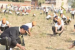 Varanasi Sets Guinness Record With 2.5 Lakh Saplings