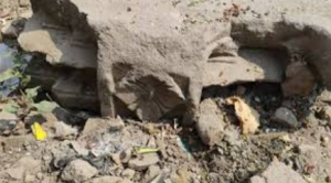 12th-Century Yadava Pillar Found in Wardha