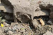 12th-Century Yadava Pillar Found in Wardha