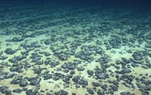 ‘Dark Oxygen’ Discovered In Pacific Ocean’s Deep Seafloor