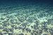 ‘Dark Oxygen’ Discovered In Pacific Ocean’s Deep Seafloor