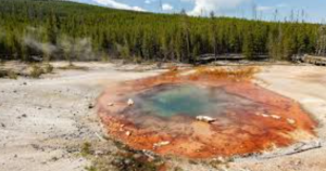 Echinus Geyser Erupts Again After Six Years in Yellowstone