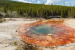 Echinus Geyser Erupts Again After Six Years in Yellowstone