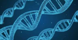 200,000-Year-Old Horse DNA Found at Germany’s Schöningen Site