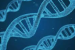 200,000-Year-Old Horse DNA Found at Germany’s Schöningen Site