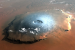 Mars Beaches Discovered Beneath Surface by Zhurong Rover Radar