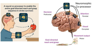 IISc Launches Brain Co-Processors Moonshot for Stroke Rehabilitation