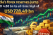 India’s Forex Reserves Hit Record $728.49 Billion