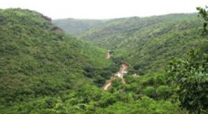 Karnataka High Court Orders Full Inclusion of Kappatagudda Sanctuary Area