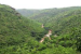 Karnataka High Court Orders Full Inclusion of Kappatagudda Sanctuary Area
