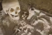 2,600-Year-Old Etruscan Tomb Discovered in Central Italy