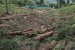 FSI Halts AI-Based Anavaran Deforestation Alert System