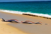 Rare Oarfish Sighting Reported Near Cabo San Lucas Coast